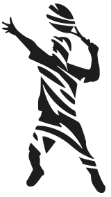 logo mdz player negro