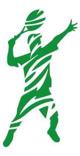 logo mdz player verde